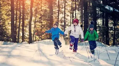 Shimla Kullu Manali Family Tour 